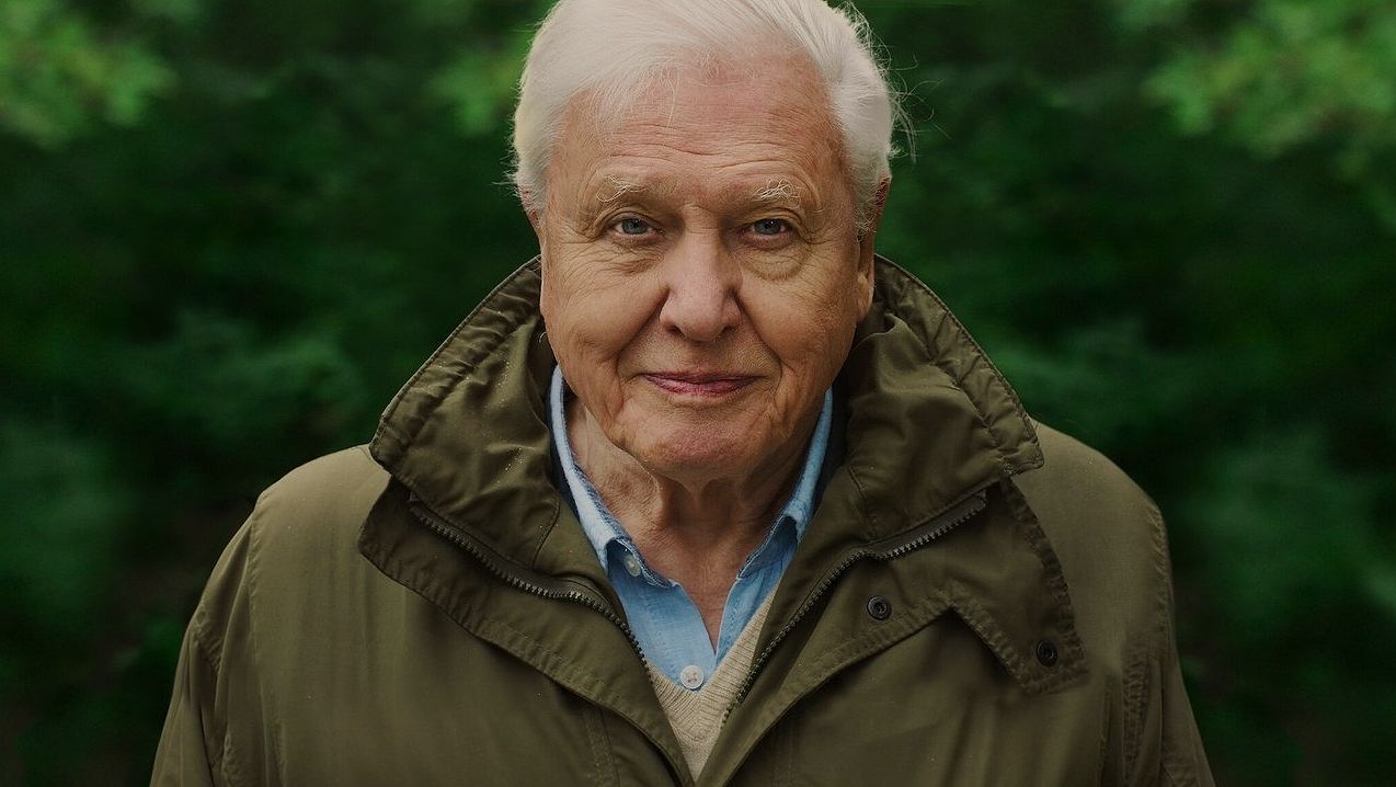 เมื่อตำนานบอกลาโลก: รีวิว David Attenborough: A Life on Our Planet สารคดีที่บีบหัวใจที่สุดในรอบปี
